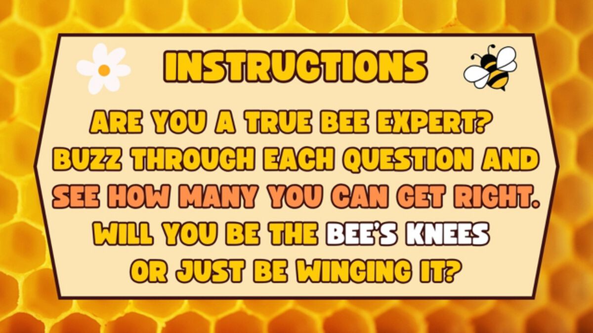 Bee's Knees image number null